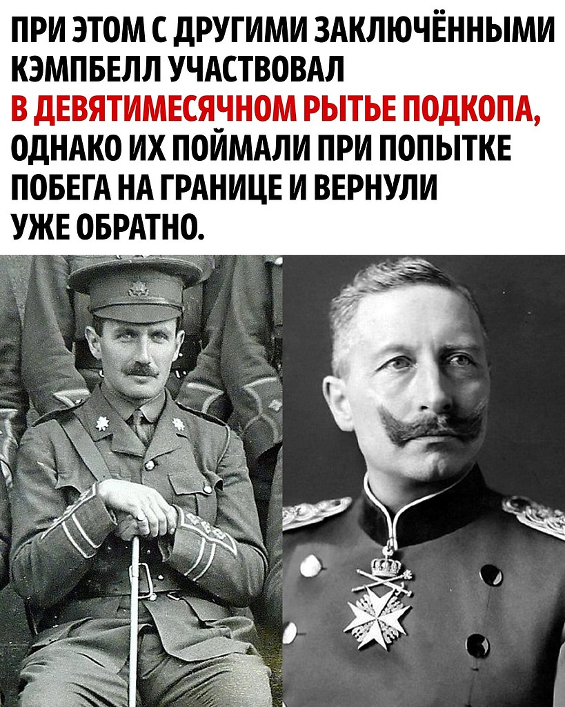      - 3