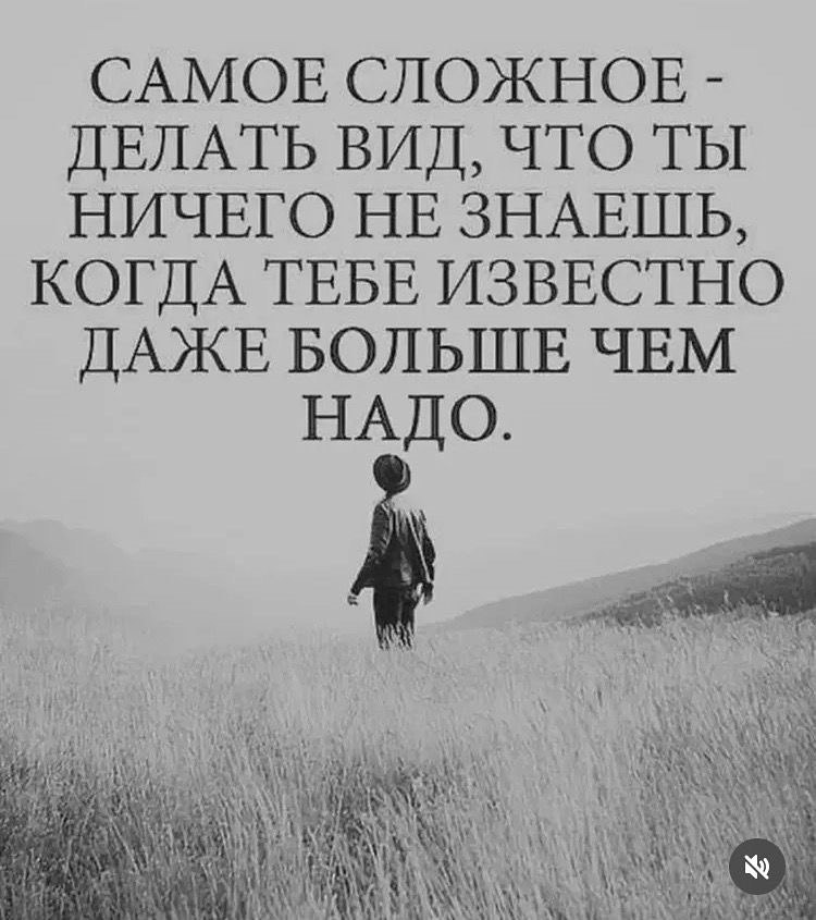   - 12  2025  11:33