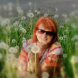 , 61,  