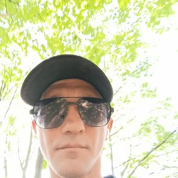 , 41, 