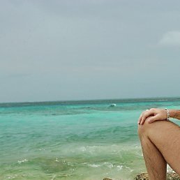 ������, ����-������, 29 ���