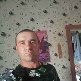 , 37 , -
