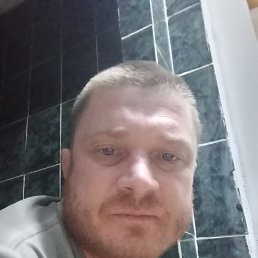, 41, 
