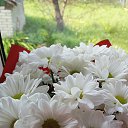 ���� Tanjusha, �������, 43 ���� - ��������� 13 ����� 2026 � ������ ���� ����������