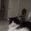 ���� �������, �������, 47 ��� - ��������� 26 ������ 2026