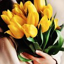 ���� ������, �������� - ��������� 20 ����� 2026 � ������ ������ ��������