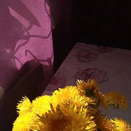 , -