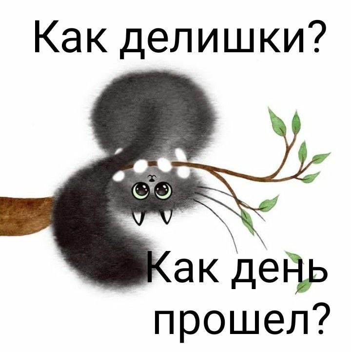   ,    . - 1  2024  20:35