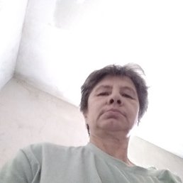 �����, 44 ����, ����