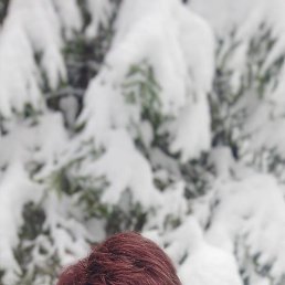 �����, ������, 52 ����