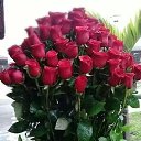  ,, ,  , 51  -  2  2025    