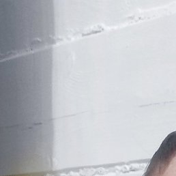 ������, �������, 50 ���