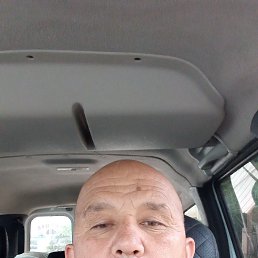 , 50, 