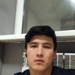 , 24, 