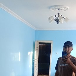 , 29, 