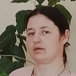 �������, �����, 36 ���