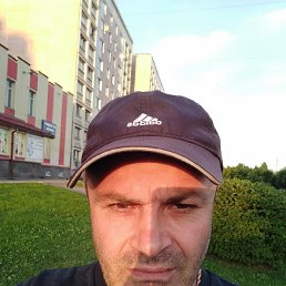 , 53, 