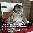���� Host, ����, 61 ��� - ��������� 15 ������� 2023 � ������ ���� ����������