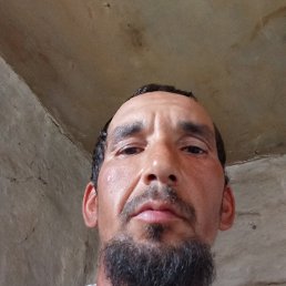 , 37, 