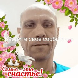 ���� ������ ������, ������, 51 ��� - ��������� 15 ������� 2026