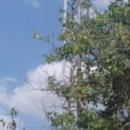 ���������, �������, 69 ���