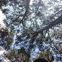 ���� Crazy Cat, ������ - ��������� 18 ������� 2025 � ������ ������ ��������