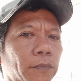 Toyip, -, 45 