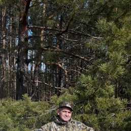 ��������, �������, 24 ����