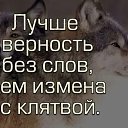 ���� ���������, ������� - ��������� 5 �������� 2025 � ������ ������ ��������