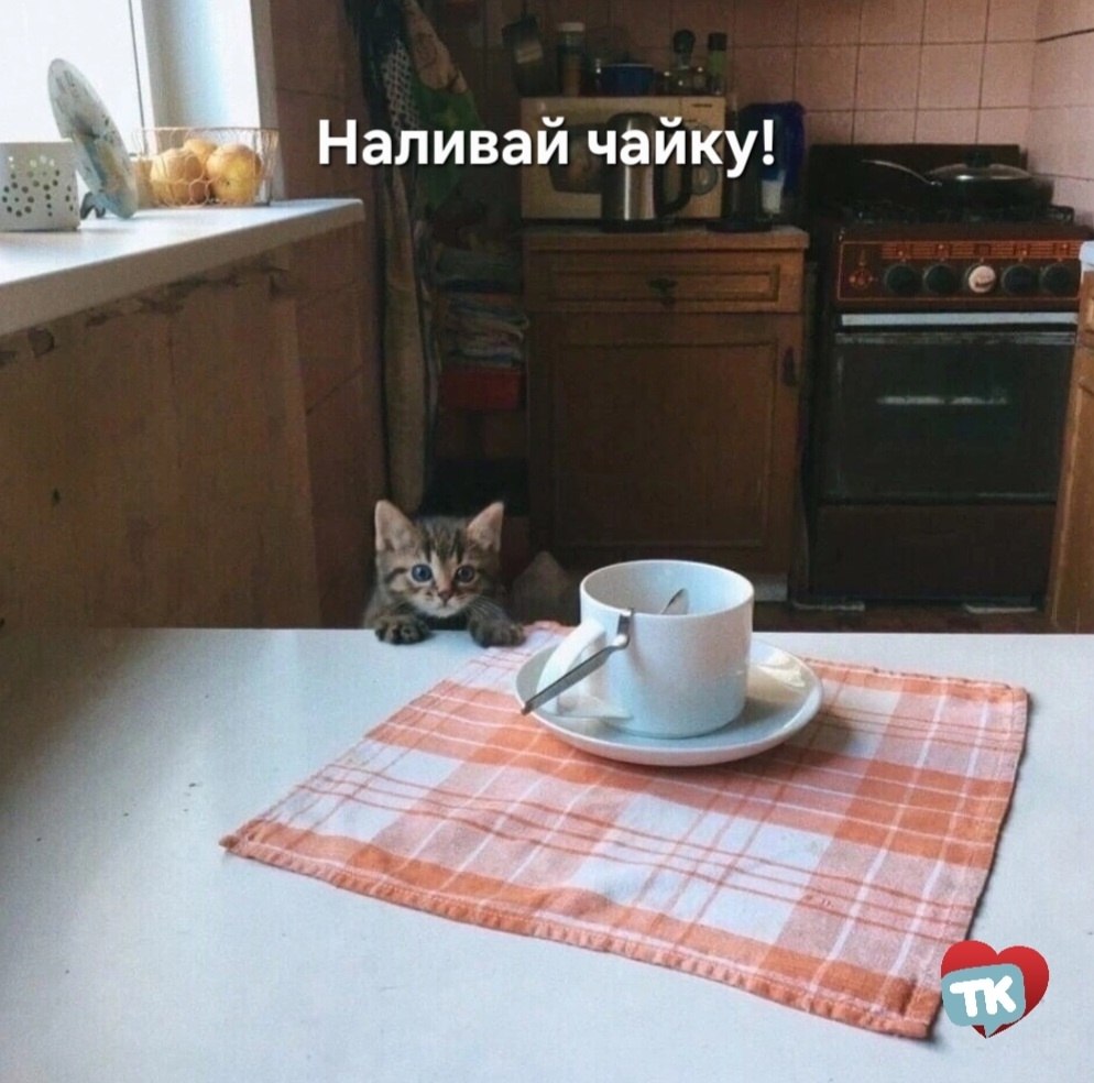  , . ,     ,   ...