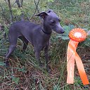 ���� E����, ������, 79 ��� - ��������� 28 ������� 2025 � ������ ������ ��������