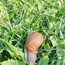 ���� ����������, �����-���������, 73 ���� - ��������� 21 ������ 2025 � ������ ������ ��������