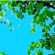 �������, 45 ���, ������