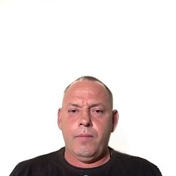 , 51, 