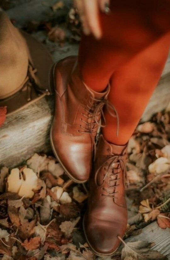 .  .    .     ,    ...