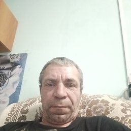 , 53 , 