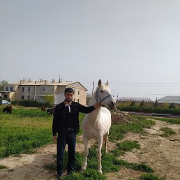 Nodir, 27, 