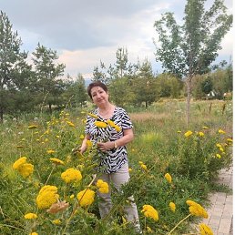 �����, ������, 66 ���