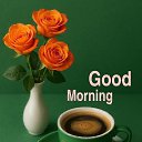 ���� Randar, ������� - ��������� 31 ������� 2025 � ������ ������ ��������