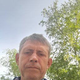 , 53 , 