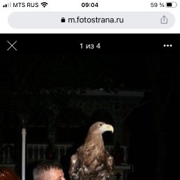 ���� ���������, �������, 52 ���� - ��������� 27 ������ 2026