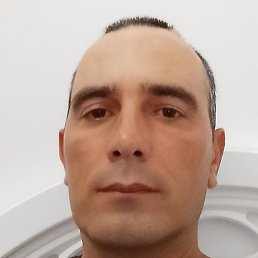 �����, ���������, 40 ���