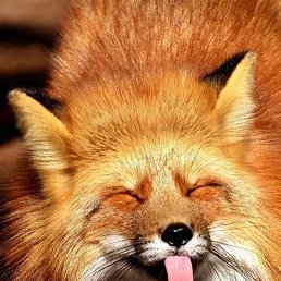 ������, �����������, 47 ���