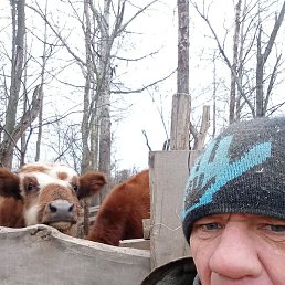 �������, ����, 45 ���