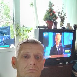 �����, 43 ����, �����