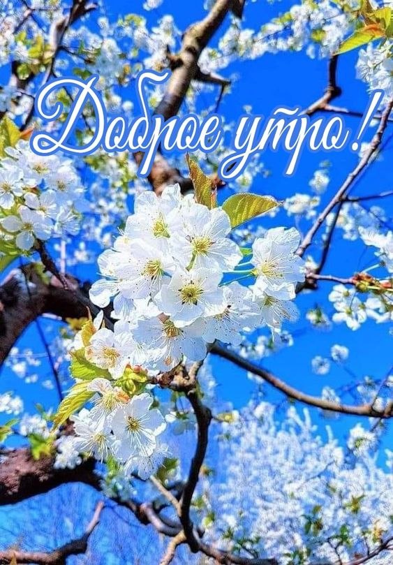 ₪╬═►  ||  ||  ◄═╬₪ - 4  2024  03:43