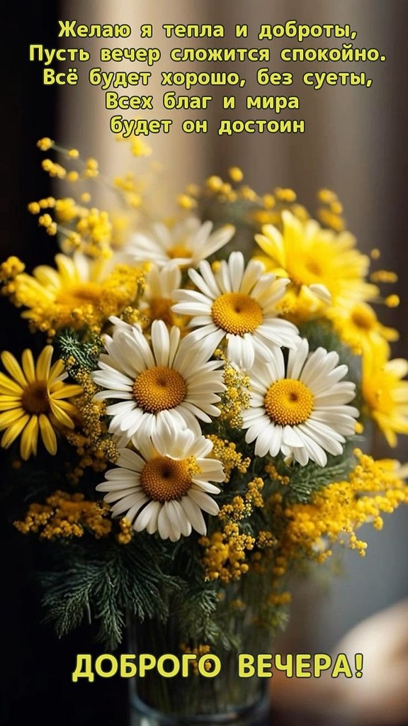   ,    . - 16  2025  17:15 - 4