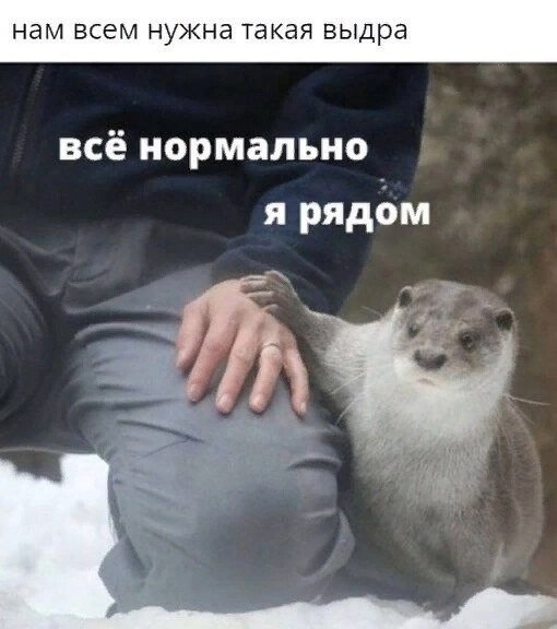 ***Victoria Viktorovna*** - 20  2024  13:03