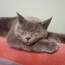  Ivan, , 46  -  4  2025    