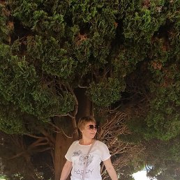 ������, ������������, 50 ���